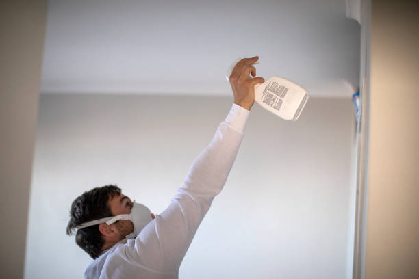 Best Crawl Space Mold Removal  in La Verkin, UT