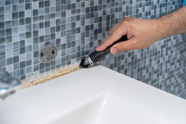 Best Mold Cleaning Services  in La Verkin, UT