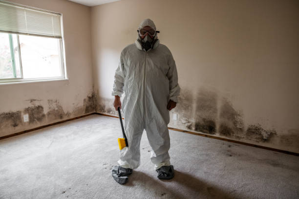 Best Residential Mold Removal  in La Verkin, UT
